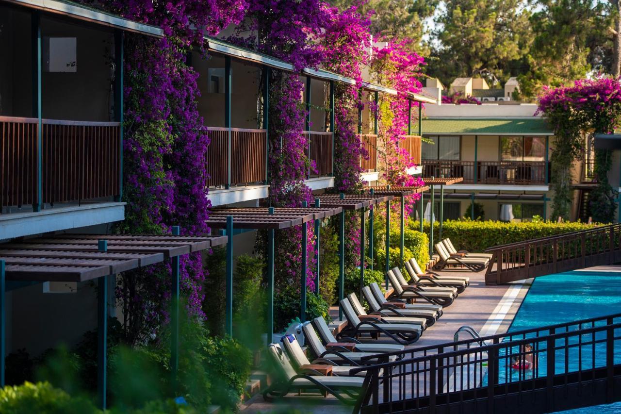 Turquoise Hotel ซีเด ภายนอก รูปภาพ